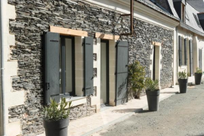 La Belle Loire - Maison chaleureuse en bords de Loire, La Bohalle